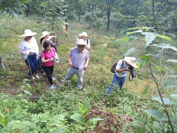 7月20-24日,市农村生态能源局邀请省环保总站殷雨虹科长和安徽大学