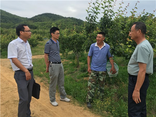 宣州市种植业管理服务中心赴宣州区指导水果生产