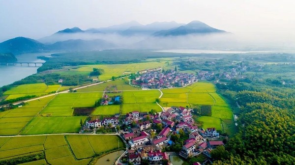微信图片_20190603085957.jpg