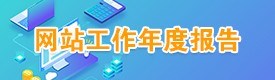 网站工作年度报告
