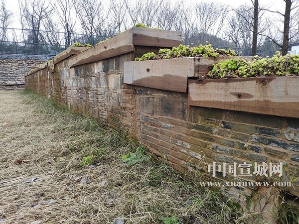 微信图片_20190118170804.jpg
