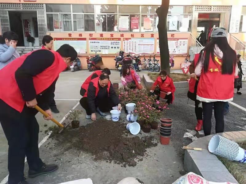 宝城社区计生协开展植树活动1.jpg