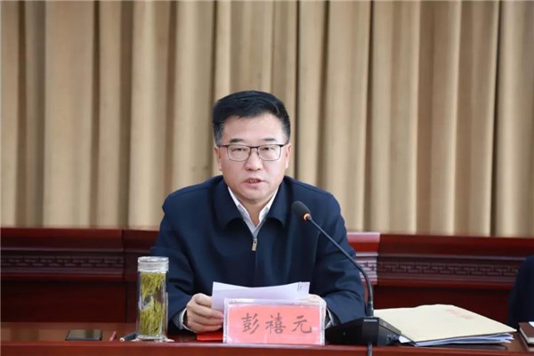 县委书记彭禧元出席会议并讲话.县委副书记,县长李斌主持会议.