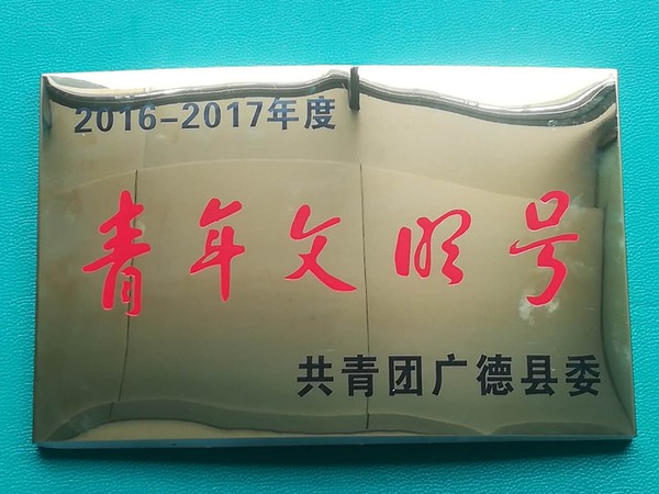 广德县金融办喜获2016-2017年度县级青年文明号称号.png