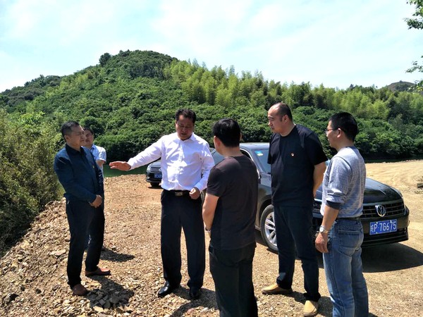 近日,县委书记王庆武到新杭镇金鸡笼村调研基层组织建设与乡村振兴,并