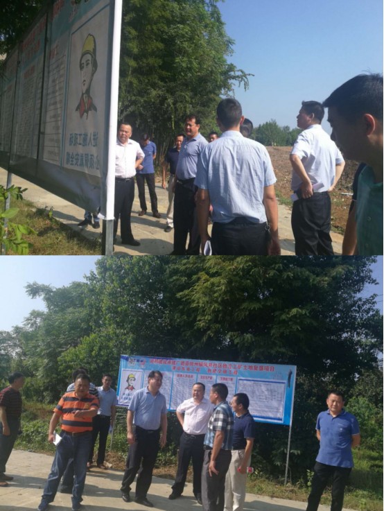 县委书记王庆武深入凤井社区督查土地复垦项目-广德市人民政府
