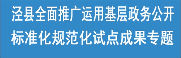 泾县全面推广运用基层政务公开标准化规范化试点成果专题