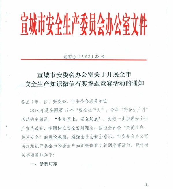 (宣安办〔2018〕28号)转发给你们,请按照通知要求,积极组织关注"宣城