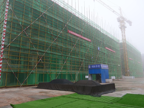 P1000300.JPG