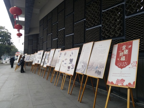 QQ图片20190203102251.jpg