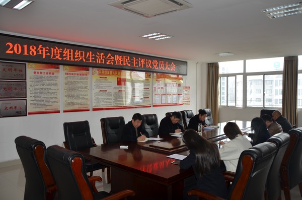 县数据资源管理局召开2018年度组织生活会暨民主评议党员大会.JPG