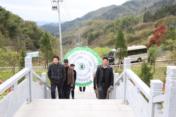鲜花圈.JPG