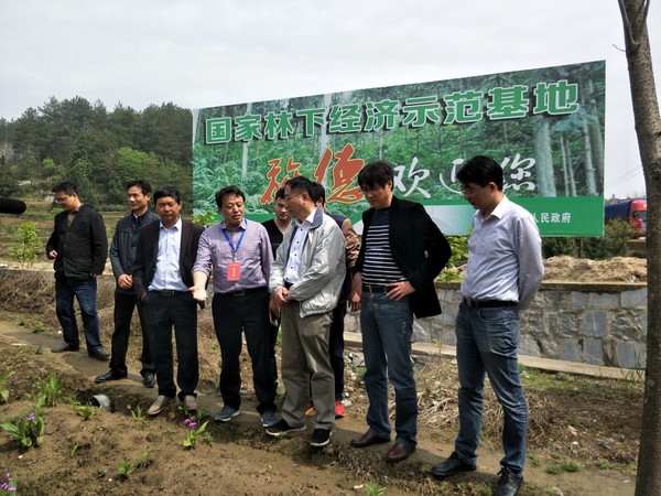 俞年军教授在白地镇指导2.jpg