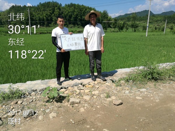123.jpg