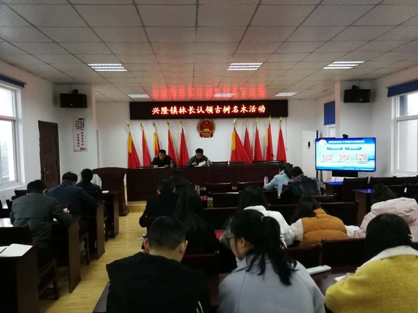图片15.png