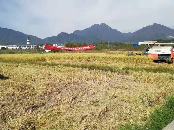 微信图片_20191016164857.jpg