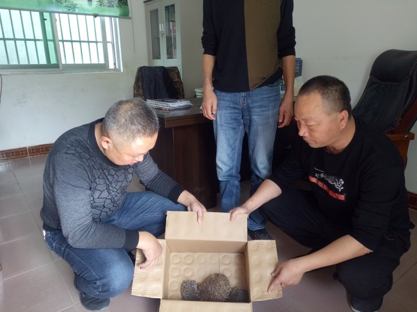 微信图片_20191024154517.jpg