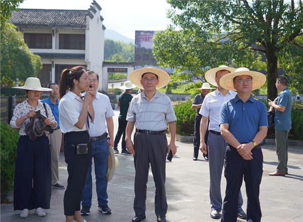 省政协副主席李修松来旌调研-旌德县人民政府