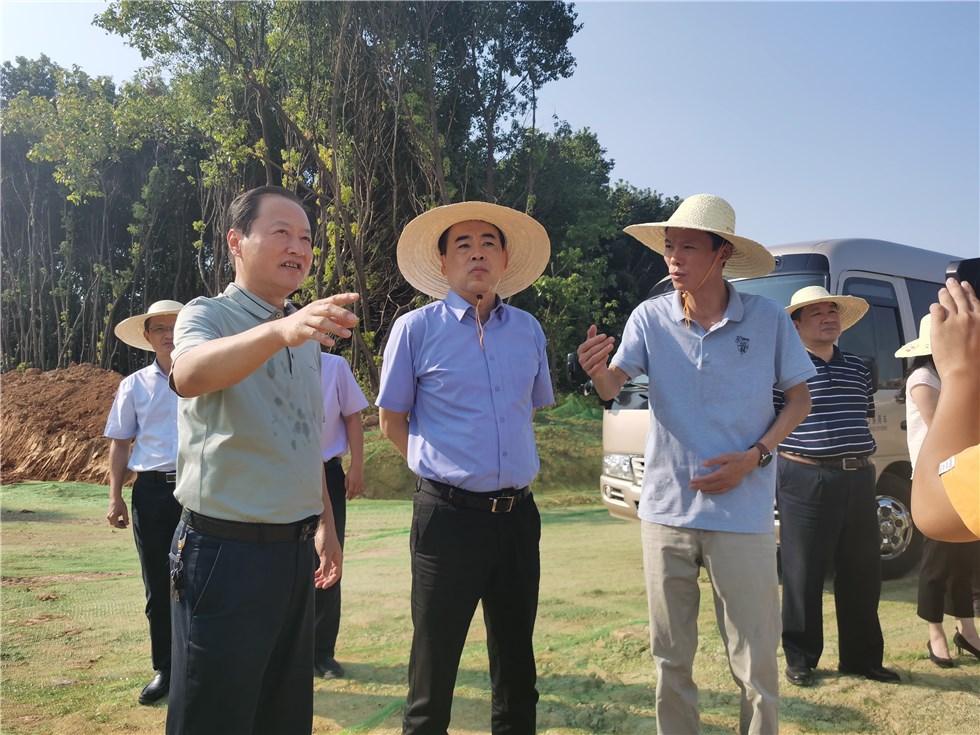 孔晓宏实地调研城市建设项目