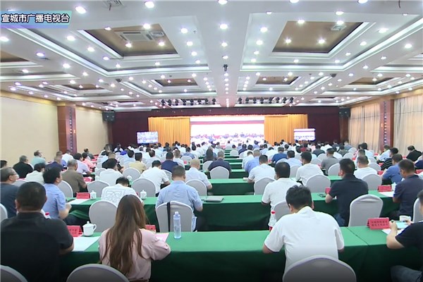 我市参加全省新能源汽车产业集群建设推进大会