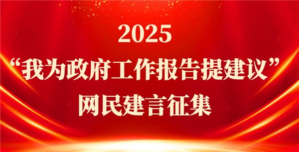 2025“我为政府工作报告提建议”网民建言征集