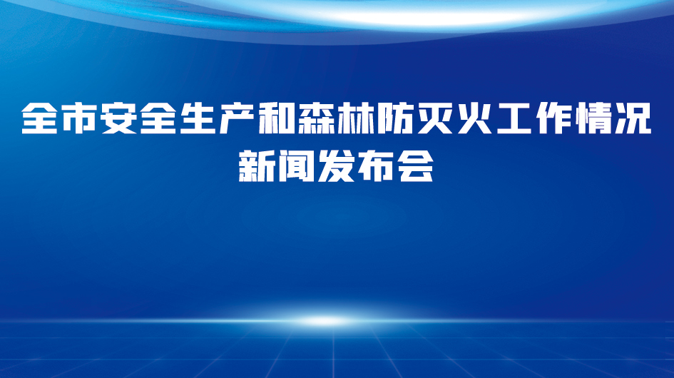 全市安全生產和森林防滅火工作情況