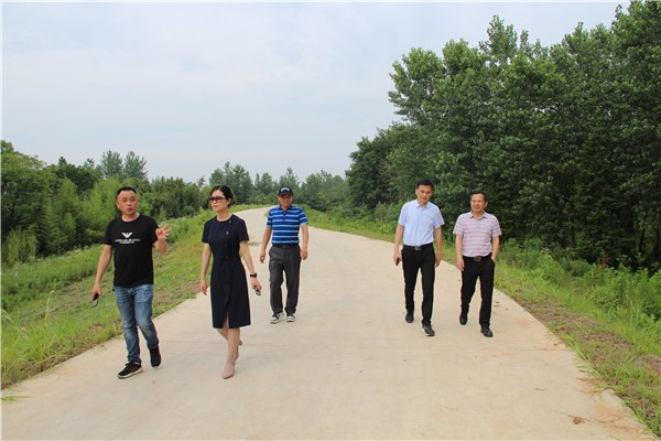 市审计局到孙埠镇实地查看防汛责任堤段-宣城市人民政府