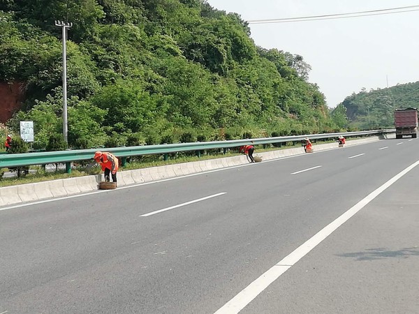 對公路沿線兩側,中間隔離帶及觀景臺雜草進行砍除,對部分路肩進行修整