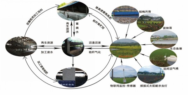 宣城市五大典型生态农业模式猪禽沼粮菜果茶等