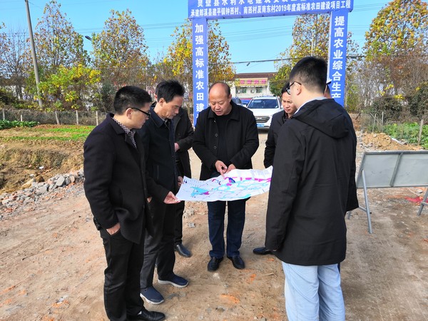 李局长赴郎溪高标5.jpg