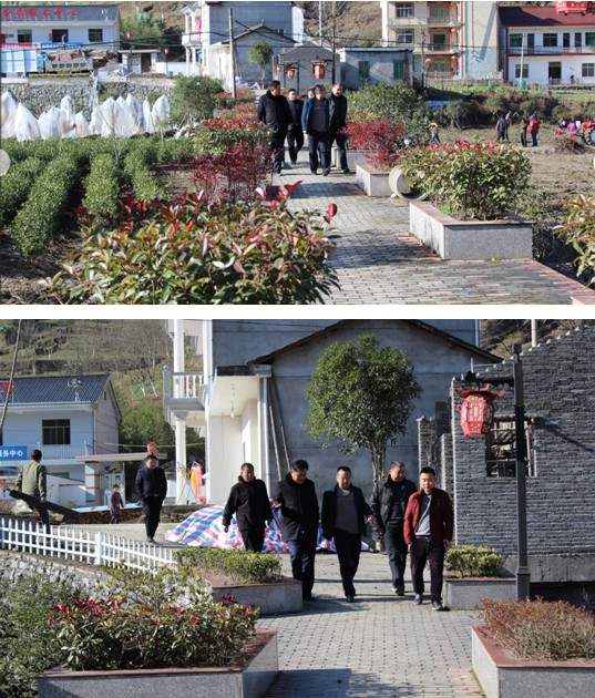 副市长江政义来宁墩镇调研旅游发展工作