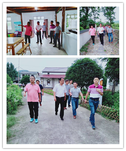 宣城市委常委副市长来宁墩镇调研省级美好乡村建设工作