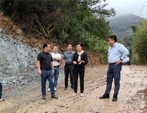金庆文赴胡乐镇走访调研