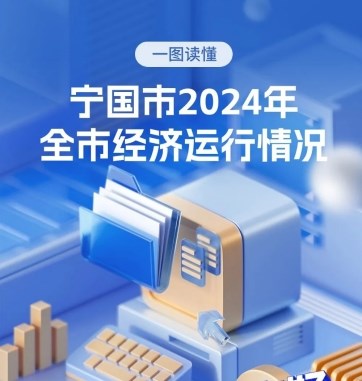 一图读懂宁国市2024年全市经济运行情况