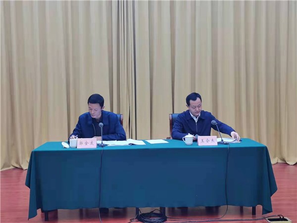 会议并讲话,副市长,市公安局长,市法宣工作领导小组副组长王会杰主持