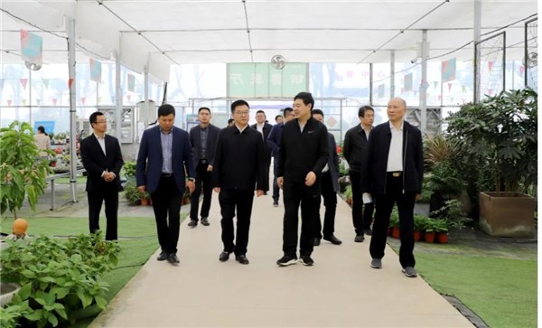 浏览: 【字体大小: 大 中 小 】 11月1日上午,安庆市委常委,岳西县委