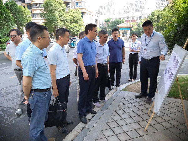 陈先平率队开展督办代表建议办理工作