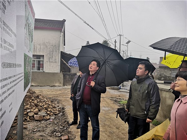 孙恒志局长赴新田镇对口帮扶美丽乡村建设工作