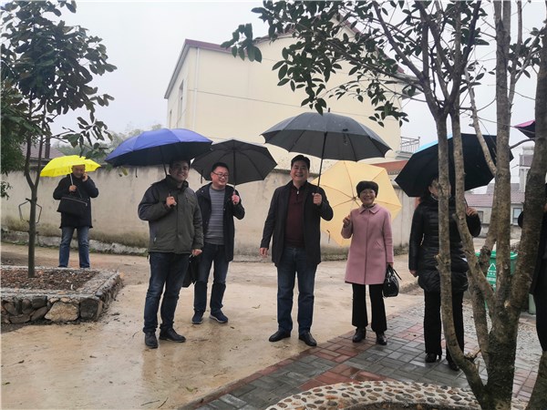 孙恒志局长赴新田镇对口帮扶美丽乡村建设工作