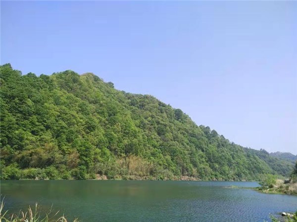 绩溪县金沙镇以绿色发展助推乡村振兴