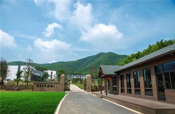 广德市东亭乡竹智多谋点亮绿色经济