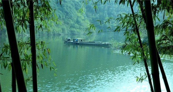 【广德市】盛夏"绿"动,醉忆广德-宣城市林业局