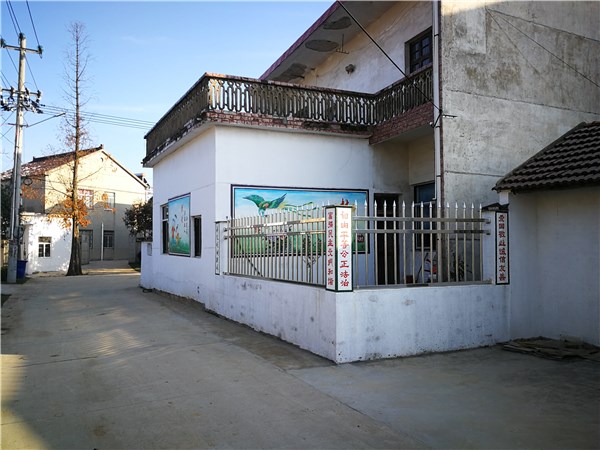 美丽在春天绽放——桃州镇农村人居环境整治进行时-广德市人民政府