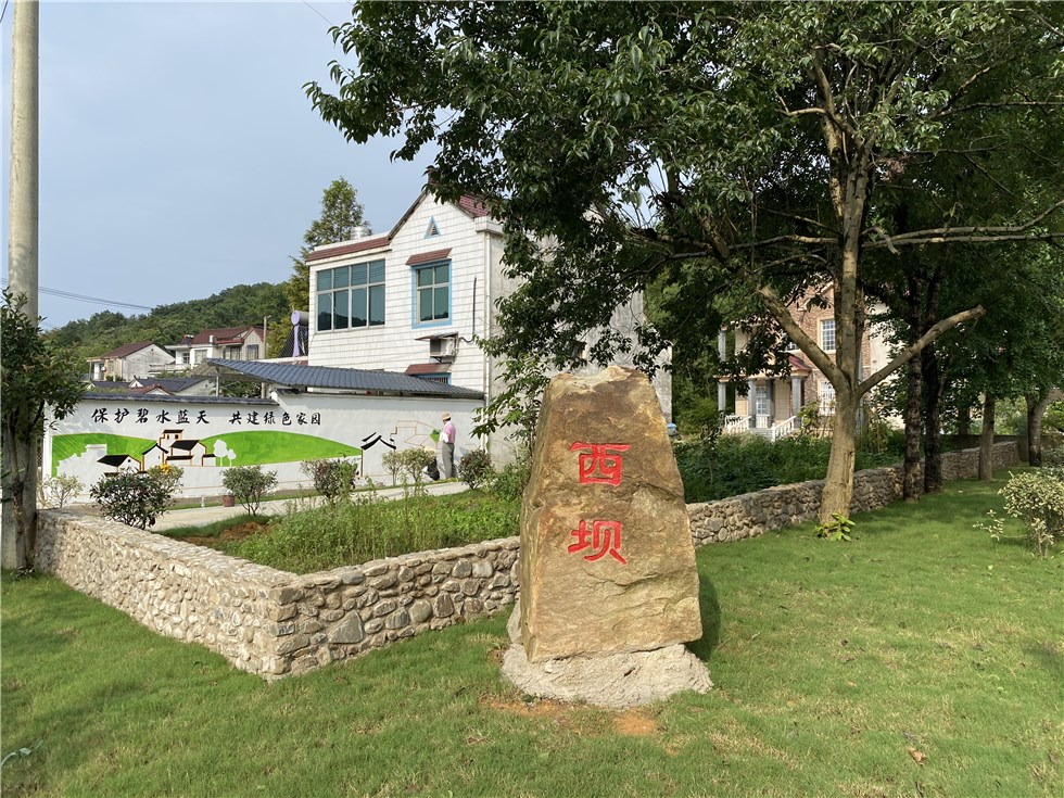 广德市柏垫镇挥毫泼墨的文化墙绘制乡村文化之美