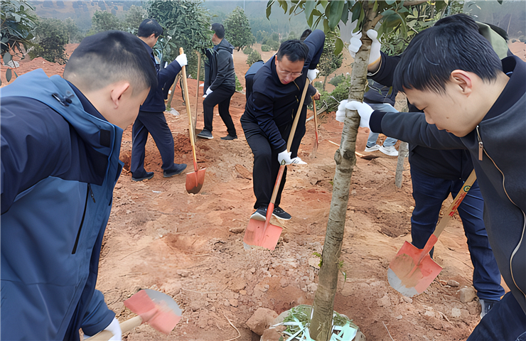 市生态环境局局长毕孟飞带队参加全市义务植树活动
