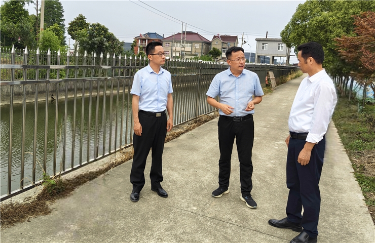 市生态环境局党组书记、局长毕孟飞赴宣州区督导突出生态环境问题整改工作
