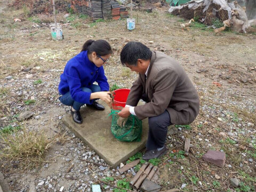 绽放的青春更芬芳大学生村官章艳芳创业纪实