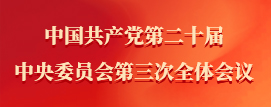 中国共产党第二十届中央委员会第三次全体会议