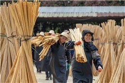 【中央纪委国家监委网站】镜头丨劳动铺就幸福路