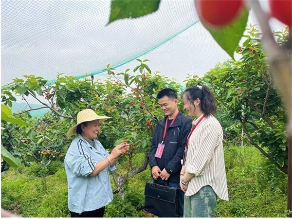 镜头丨谱写纪检监察青春华章